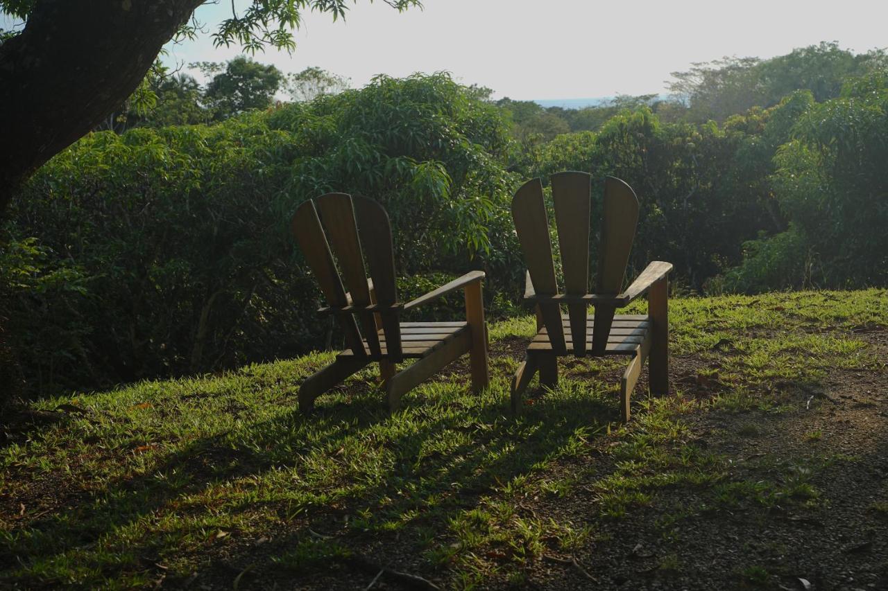Calamocha Lodge Playa Santa Teresa  Kültér fotó