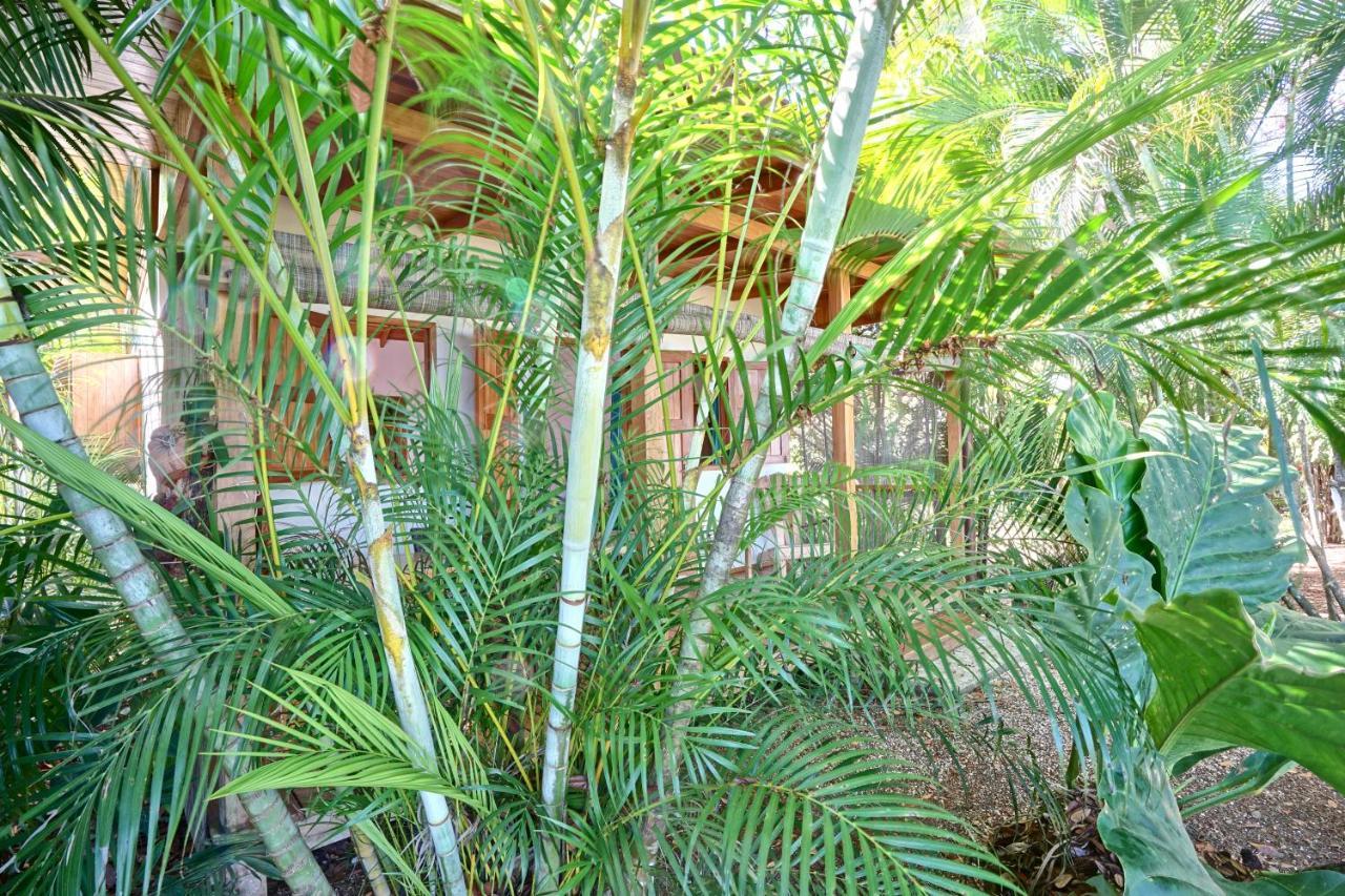 Calamocha Lodge Playa Santa Teresa  Kültér fotó